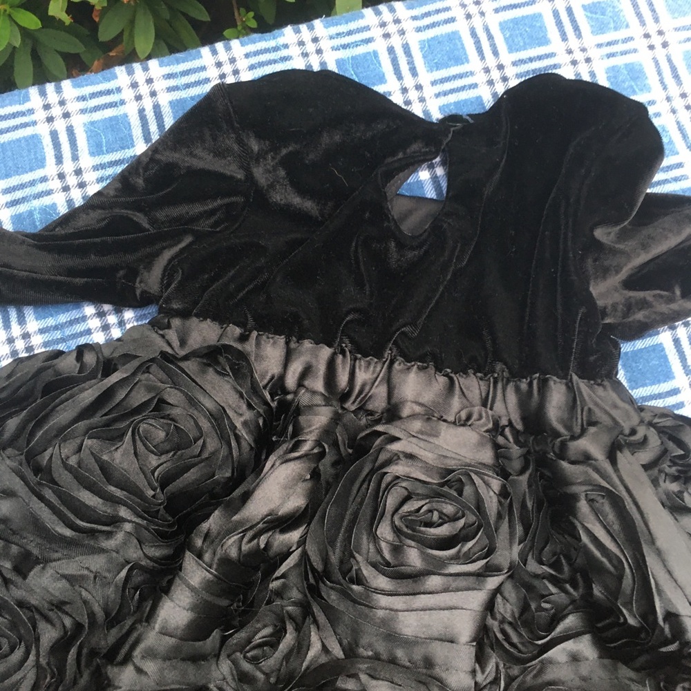 CachCach 24 mo dress/ black velour upper with pink/black roses lower - Picture 3 of 5